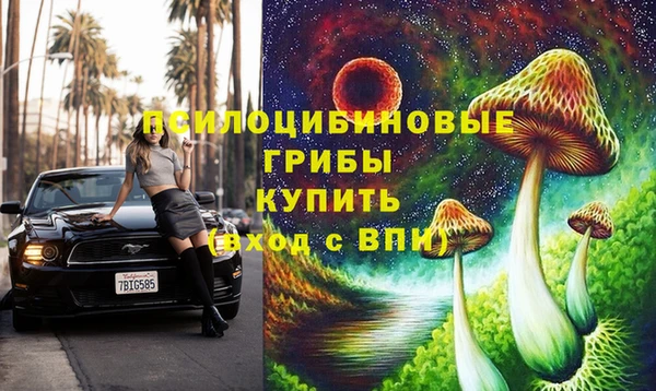 прущие грибы Абдулино