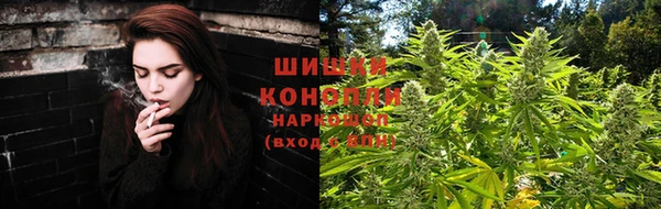 прущие грибы Абдулино