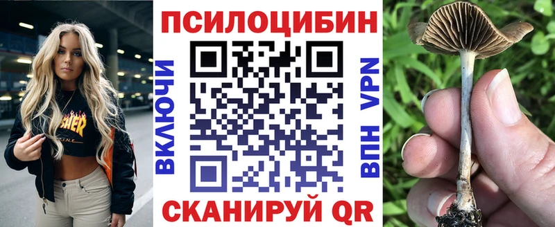 Галлюциногенные грибы прущие грибы Белореченск